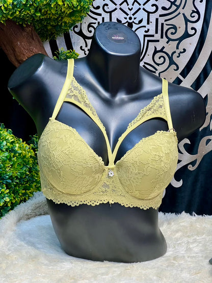 Golden Elegant Lace Padded Bra Panty Set