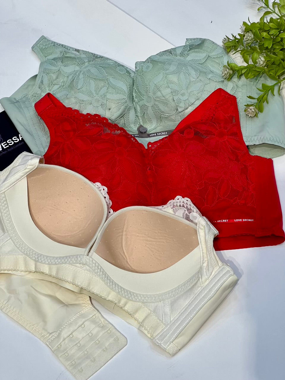 Classic Lace Comfort Soft Padded Bra –