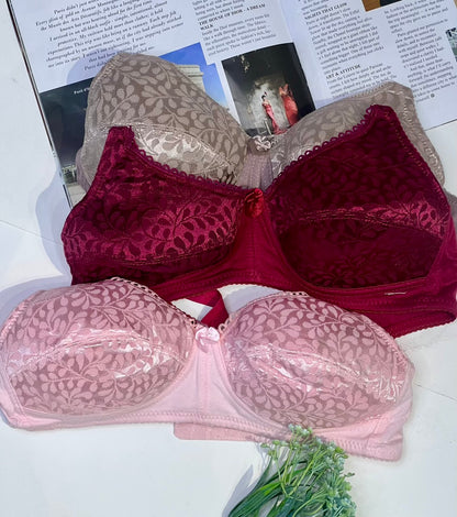 Blush Elegance Soft Padded Lace Bra