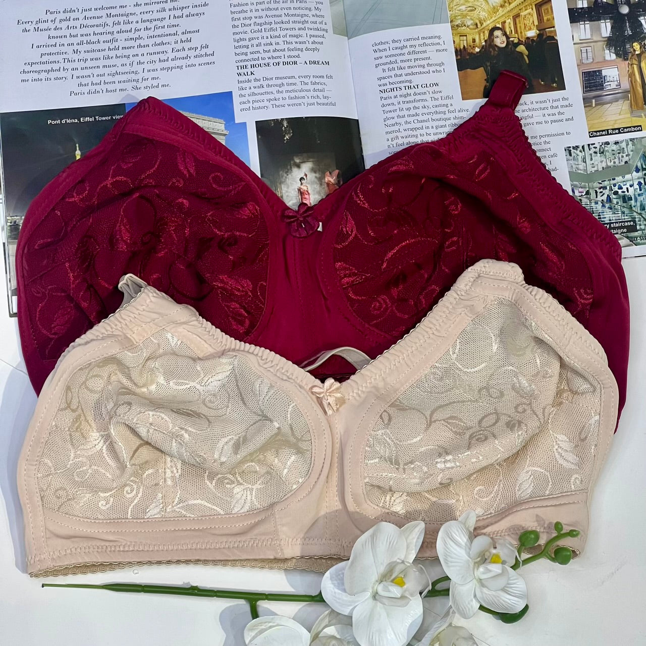 Bloom Lace Support Daily Wear Bra