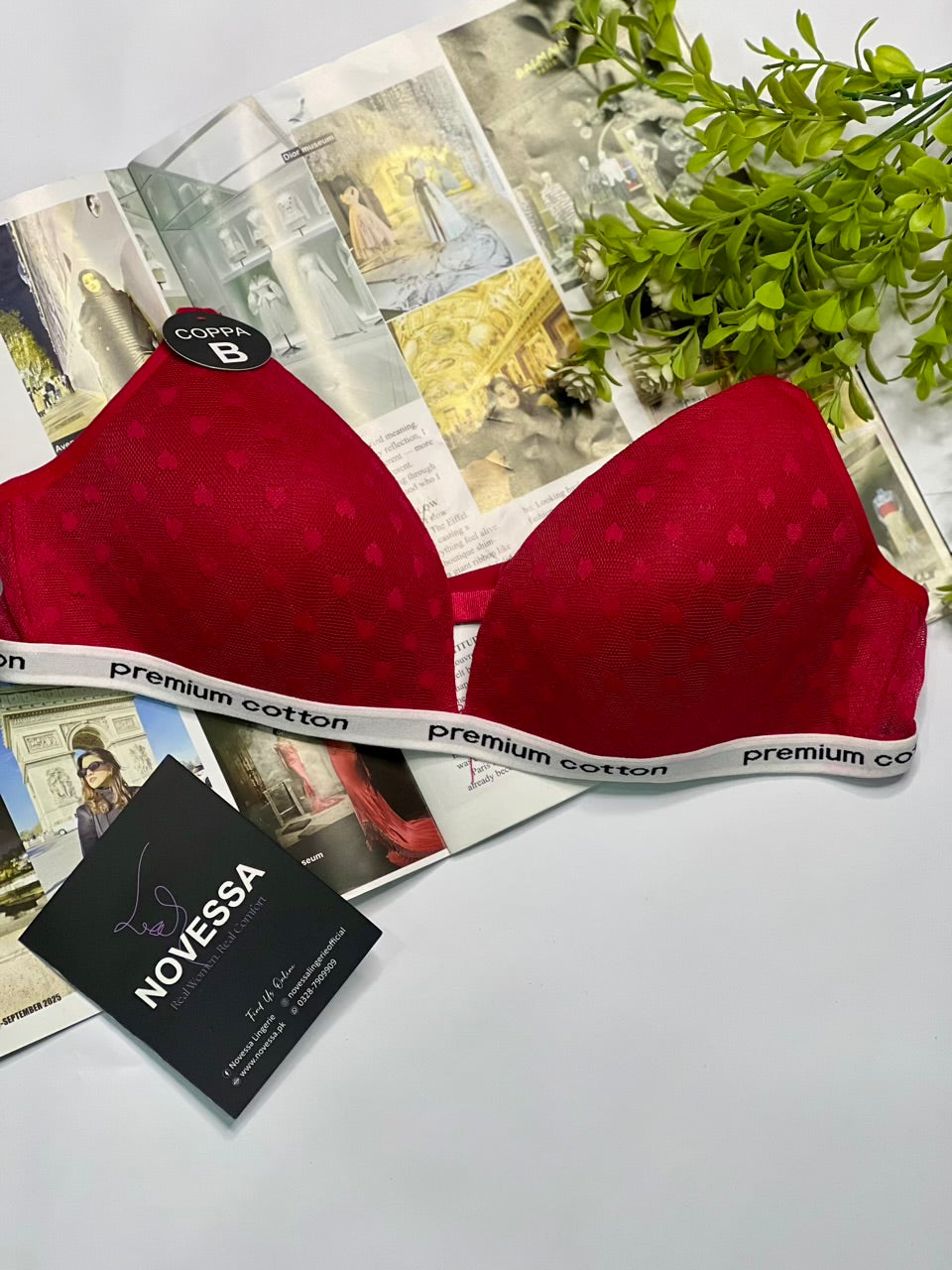 Everyday Support & Padded Breathable Bra