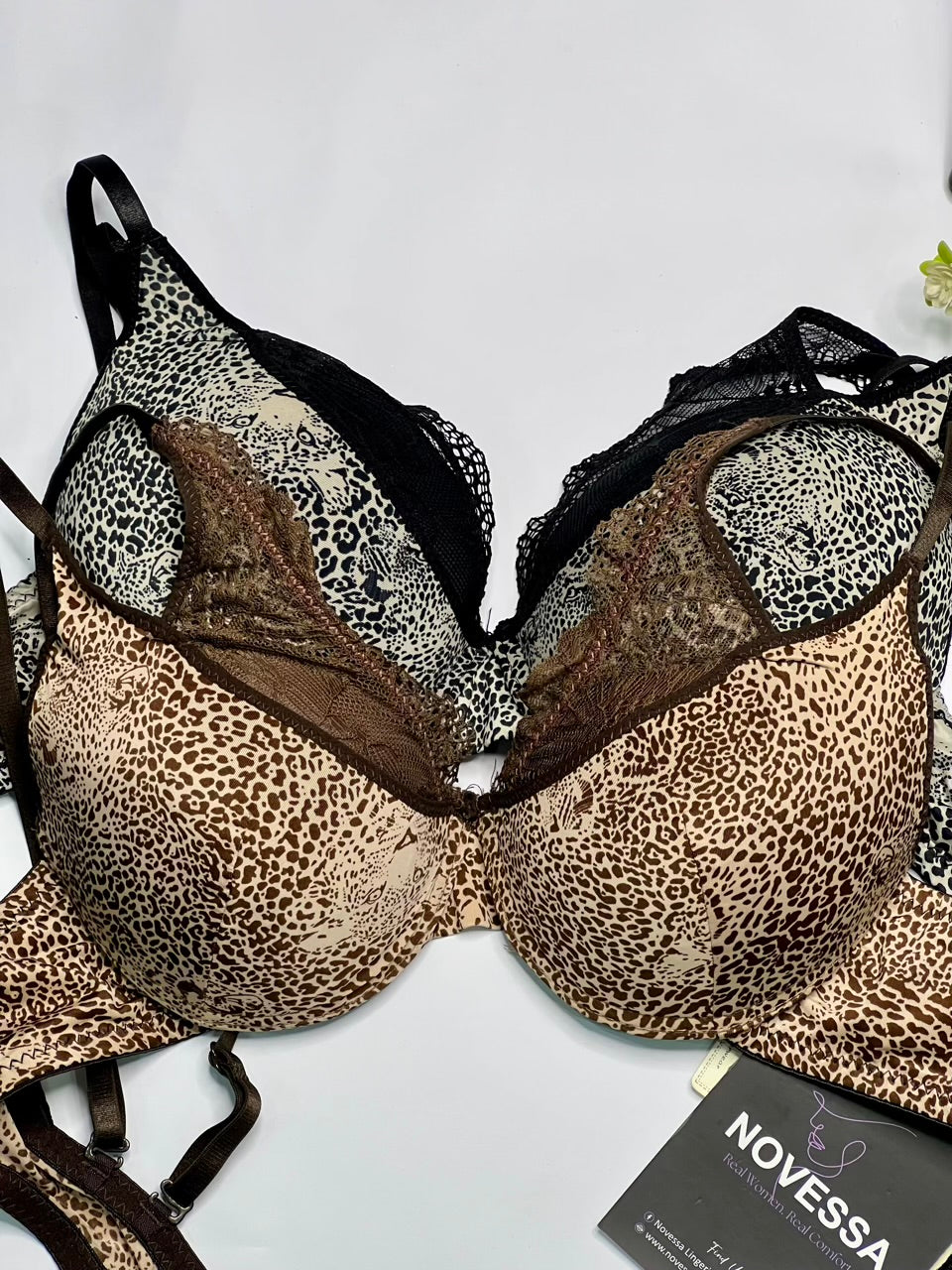 Leopard Luxe Lace Padded Bra Panty set