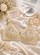 Novessa's Premium Coverage Bra
